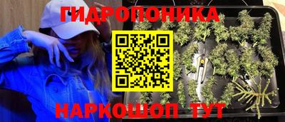 каннабис Краснознаменск