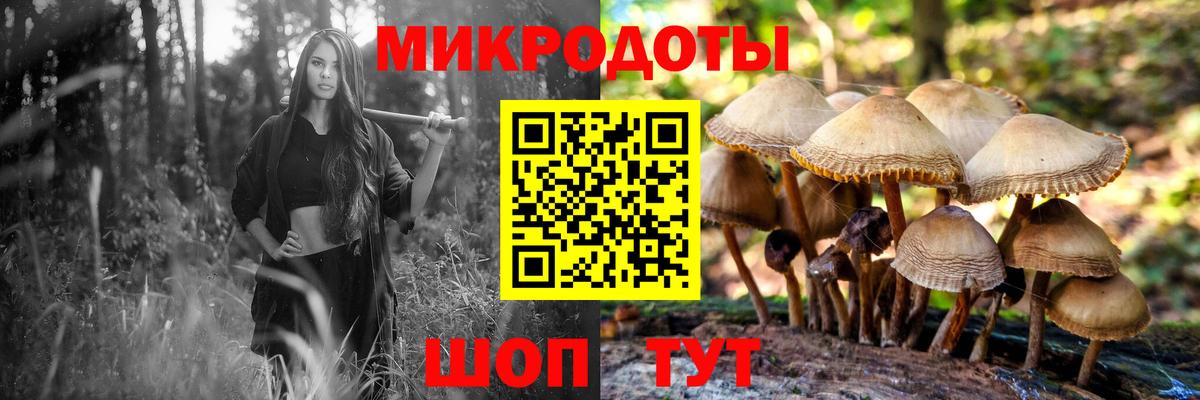 Нерюнгри  Галлюциногенные грибы MAGIC MUSHROOMS  купить наркотик  Вход с VPN 